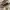Longchamp Minimalist Bags & Purse Wanita Brown