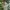 Vintage Casual Casual dress Wanita green tan photo 2