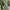 Vintage Casual Casual dress Wanita green tan photo 3
