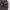 Carhartt Streetwear Hoody Pria brown photo 2