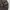 Carhartt Streetwear Hoody Pria Brown