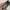 Kate Spade Luxury Bags & purse Wanita black photo 5