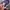MLB Vintage Streetwear Bag Pria purple photo 7
