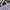 MLB Vintage Streetwear Bag Pria purple photo 4