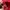 Jacquemus Luxury Hat Pria red photo 5