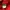 Jacquemus Luxury Hat Pria red photo 6