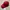 Jacquemus Luxury Hat Pria red photo 1