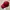 Jacquemus Luxury Hat Pria Red