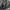 Converse Sportswear Hoody Pria gray photo 2