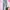 Pomelo Minimalist Casual Culotte Wanita Blue