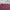 Nike Vintage Streetwear T-shirt Pria burgundy photo 6
