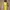 Casual Wanita cream yellow photo 1