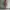 Minimalist Bodycon dress Wanita orange photo 4