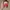 Casual Wanita red black photo 1