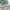 VANS Streetwear Sneakers Pria white green photo 3