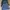 Minimalist Bodycon dress Wanita black blue photo 1