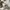 Levi's Streetwear Sweatshirt Pria white photo 3