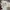 Levi's Streetwear Sweatshirt Pria white photo 2