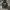 Everlast Streetwear Sweatshirt Pria gray photo 1