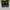 Sportswear Sneakers Pria green black photo 3