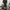Zoo York Y2K Skater Jeans Pria black photo 1