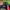 Adidas Vintage Y2K Hat Pria red black photo 3