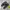New Balance Streetwear Sneakers Pria green black photo 1
