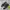 New Balance Streetwear Sneakers Pria Green Black
