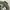 Polo Ralph Lauren Streetwear Casual Harrington jacket Pria green gray photo 3