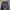 Carhartt Casual Jeans Pria navy photo 3