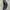 Y-3 Streetwear Luxury Hat Pria black photo 4