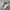 New Balance Streetwear Sneakers Wanita multicolor photo 1