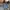 Japanese brand Y2K Skater Jeans Pria multicolor photo 6