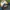 Fieldcore Sportswear Windbreaker Pria navy photo 5