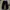 Carhartt Casual Casual pants Pria black photo 2