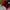 Feltics Streetwear Bomber jacket Pria red black photo 4