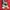 Pancoat Futurist Hoody Pria red photo 4