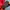 Supreme Streetwear Luxury Hoody Pria red photo 7