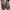 Vintage Boots Pria brown photo 1