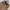 Streetwear Casual Casual pants Pria multicolor brown photo 3