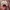 Nike Vintage Streetwear Hat Pria white photo 4