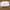Chanel Luxury Casual Bags & purse Wanita white photo 1
