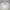 Mizuno Vintage Sportswear Jersey Pria white photo 1