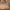 Valentino Vintage Bags & purse Wanita brown photo 3