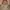 Valentino Vintage Bags & purse Wanita brown photo 1