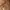 Valentino Vintage Bags & purse Wanita brown photo 2