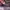 Gucci Streetwear Futurist Handbag Wanita black photo 3