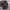 Burberry Muslim Polo shirt Pria multicolor photo 1