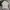 Helly Hansen Muslim Polo shirt Pria cream photo 1