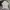 Helly Hansen Muslim Polo Shirt Pria Cream